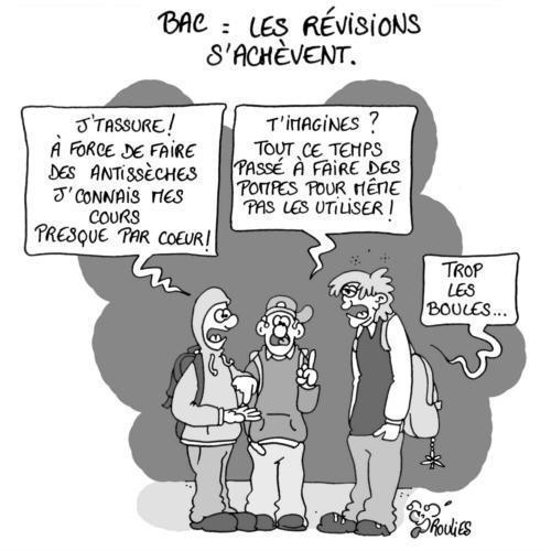 Bac 2009: des schémas pour réviser. dans bac 2011 bac-site