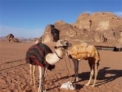 En Jordanie, à la recherche des civilisations perdues