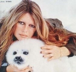 Brigitte Bardot : au revoir et à jamais ?