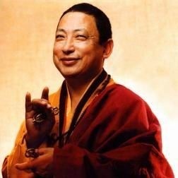 Le vieux Lama rieur
