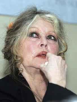Brigitte Bardot : au revoir et à jamais ?