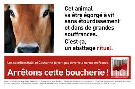 Penser ou repenser l'écologie