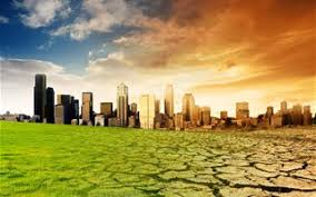 Conseil de défense écologique : Les mesures sont-elles suffisamment à la hauteur des enjeux ?
