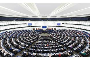 Européennes 2019 en France : Triple Sanction