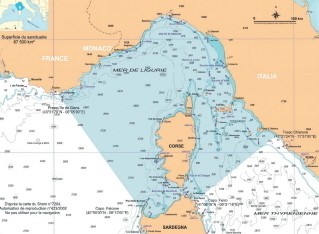 Projet « Repcet » ou comment sauver Willy en Méditerranée ?