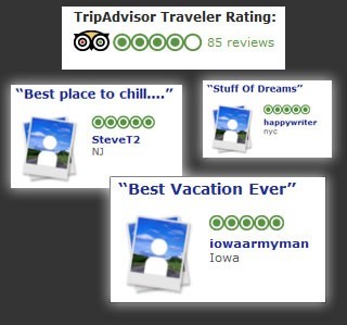 trip_advisor umih etrave consommation restauration hôtellerie.jpg