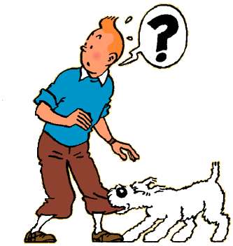 Tintin n'ira plus au Congo