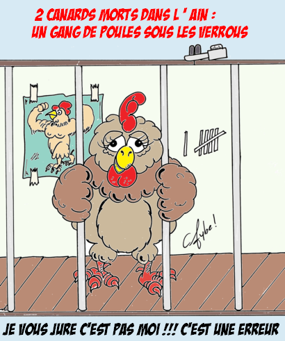 H5N'Ain-fection