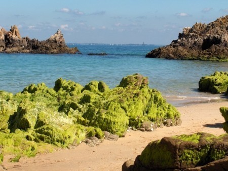 Houat ou la Bretagne insulaire