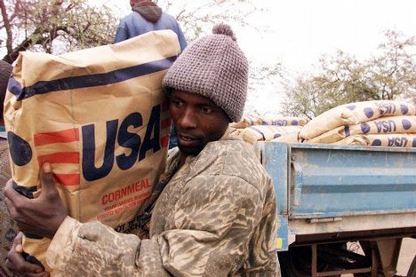 Les camions tamponneurs du Zimbabwe