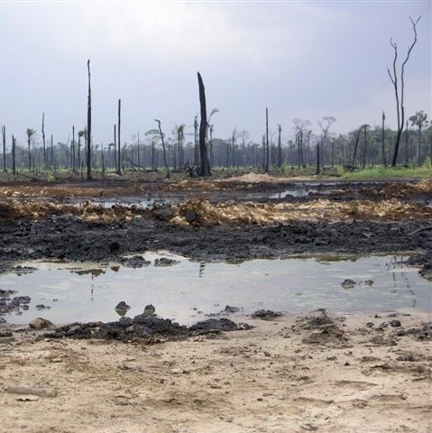 Blue Bayou (11) les ravages de BP dans un autre golfe