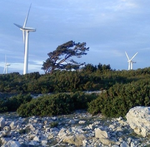 La plus grande Eifféolienne du monde