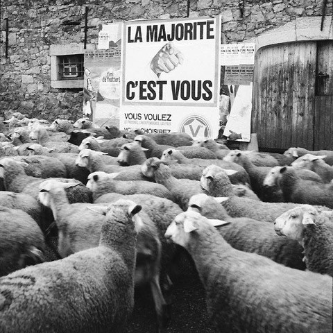 “ Une société sans taxes, sans TVA et sans impôts, c'est possible ! ”