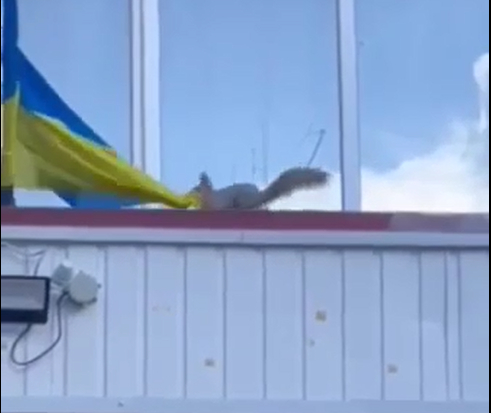 Un écureuil pro-russe s'acharne sur le drapeau ciel et or. Fallait pas lui chatouiller ses noisettes.