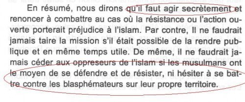 Un inquiétant séminaire à la Grande Mosquée de Lyon