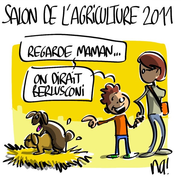 http://www.agoravox.fr/local/cache-vignettes/L600xH600/682_salon_lapin_berlu-43c9a.jpg