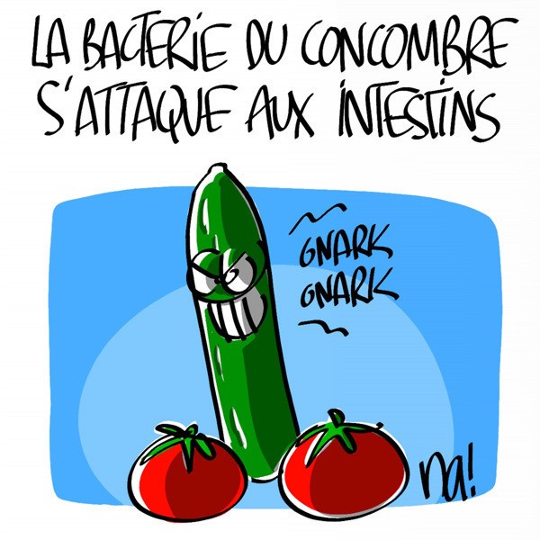 http://www.agoravox.fr/local/cache-vignettes/L600xH600/751_concombre_tomates-5da49.jpg