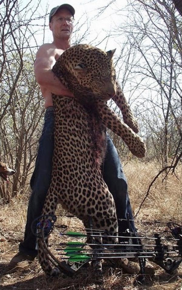 Il faudrait jeter aux lions l'assassin du roi lion du Zimbabwe