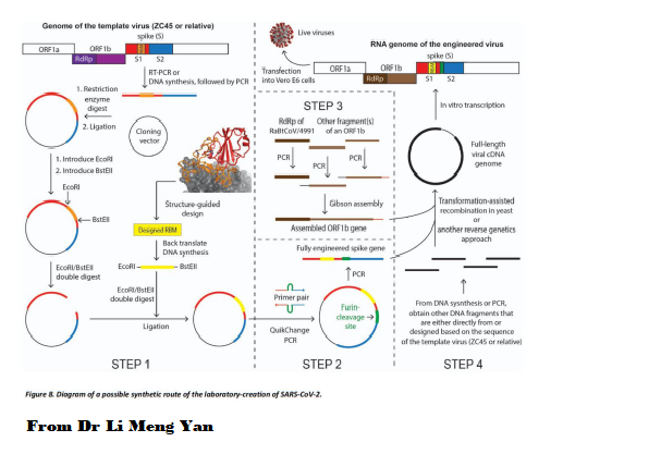 L'étrange cas du Dr Li Meng Yan