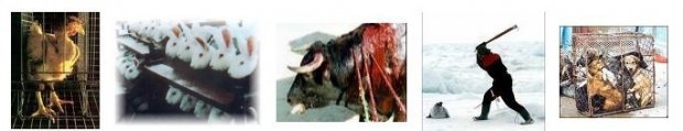 Réflexions sur l'éthique animale