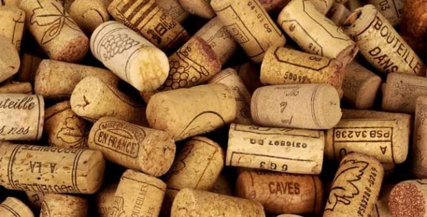 Tout sur le bouchon