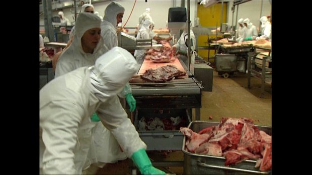 Descente dans l'enfer des abattoirs...