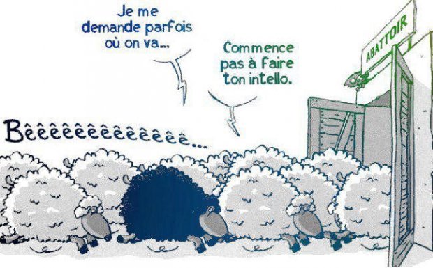 Le silence des agneaux