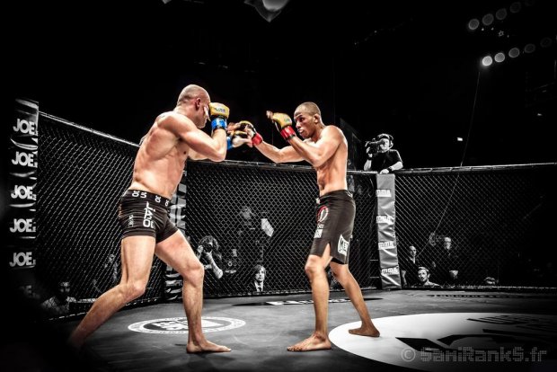 Lumière sur le Mixed Martial Arts (MMA) pour les novices