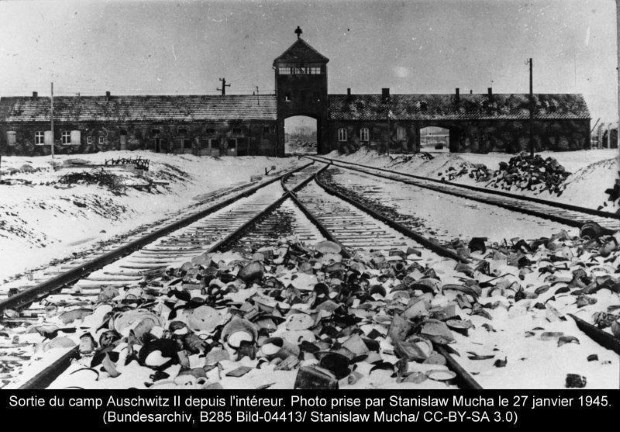 Auschwitz, l'horreur humaine absolue