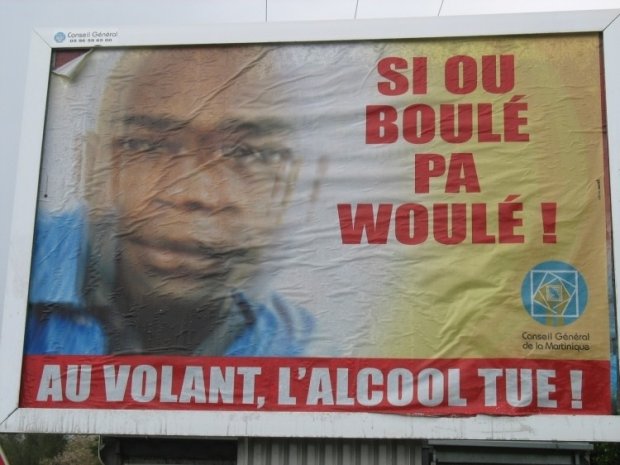 Touche pas à mon squale !