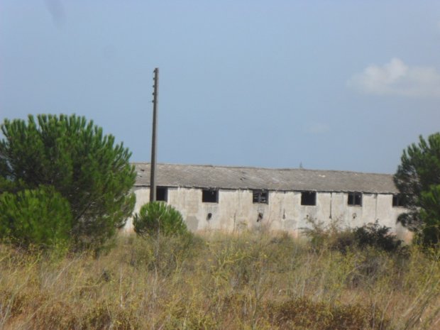 Friburg, Rivesaltes, Gurs