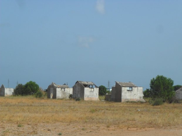 Friburg, Rivesaltes, Gurs
