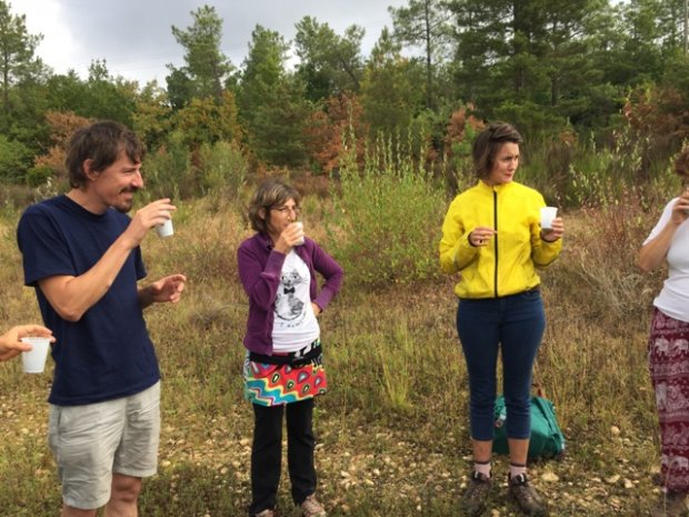 Des profs malades du manque de nature