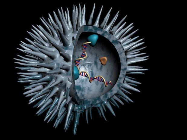 Le Nobel 2008 conforte la paternité française du virus du sida