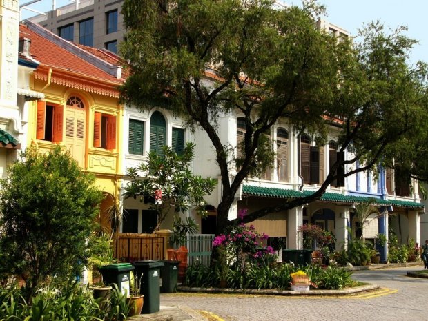 Singapour : des orchidées et des gratte-ciel