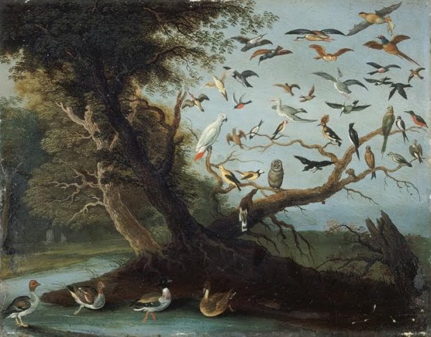L'arbre aux oiseaux