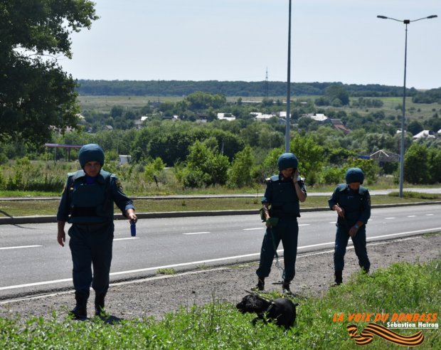 Donetsk : reportage sur une équipe cynophile de recherche d'engin explosif