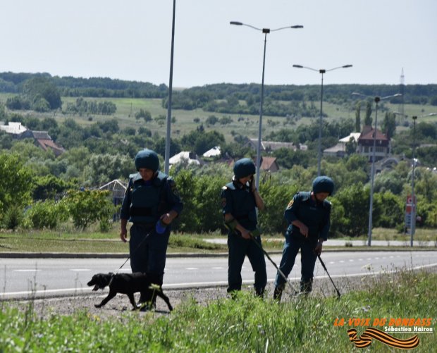 Donetsk : reportage sur une équipe cynophile de recherche d'engin explosif