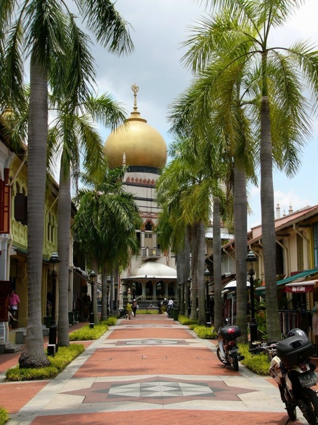 Singapour : des orchidées et des gratte-ciel
