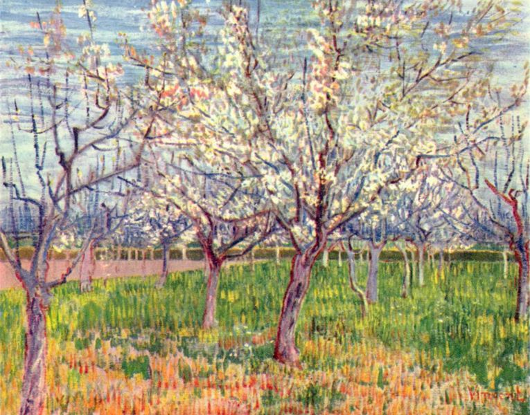 Toute la beauté d'un tableau de Van Gogh... AgoraVox le média citoyen