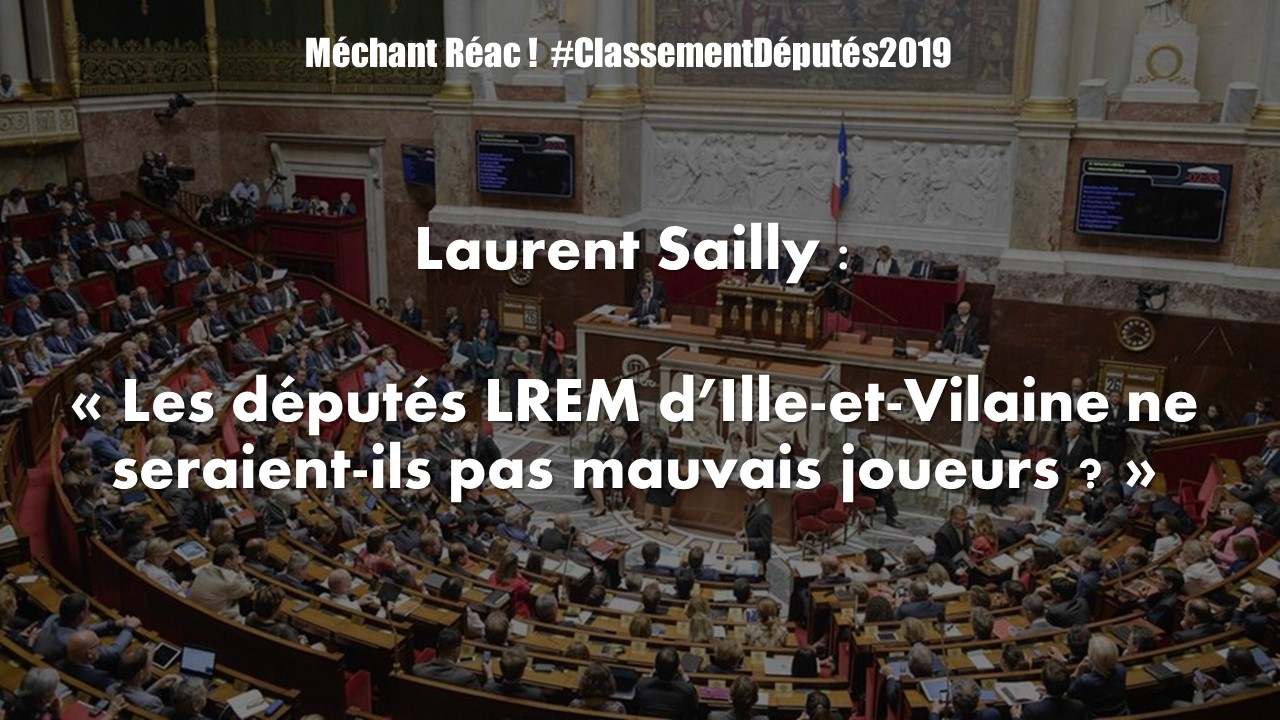 Les députés LREM d'Ille-et-Vilaine ne seraient-ils pas mauvais joueurs ?