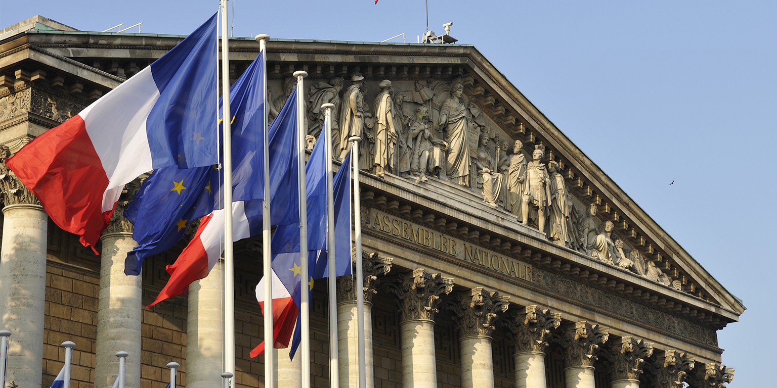 Quand l'électeur prend la mouche