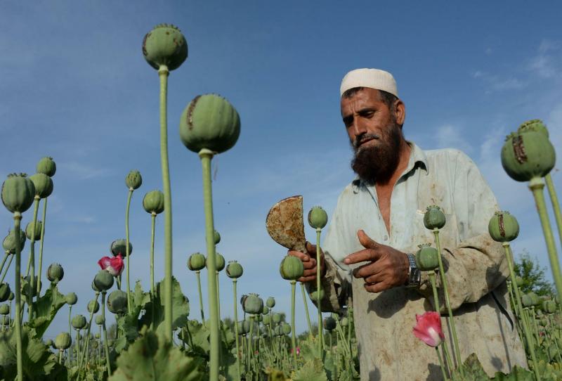 L'héroïne afghane inondera l'Europe