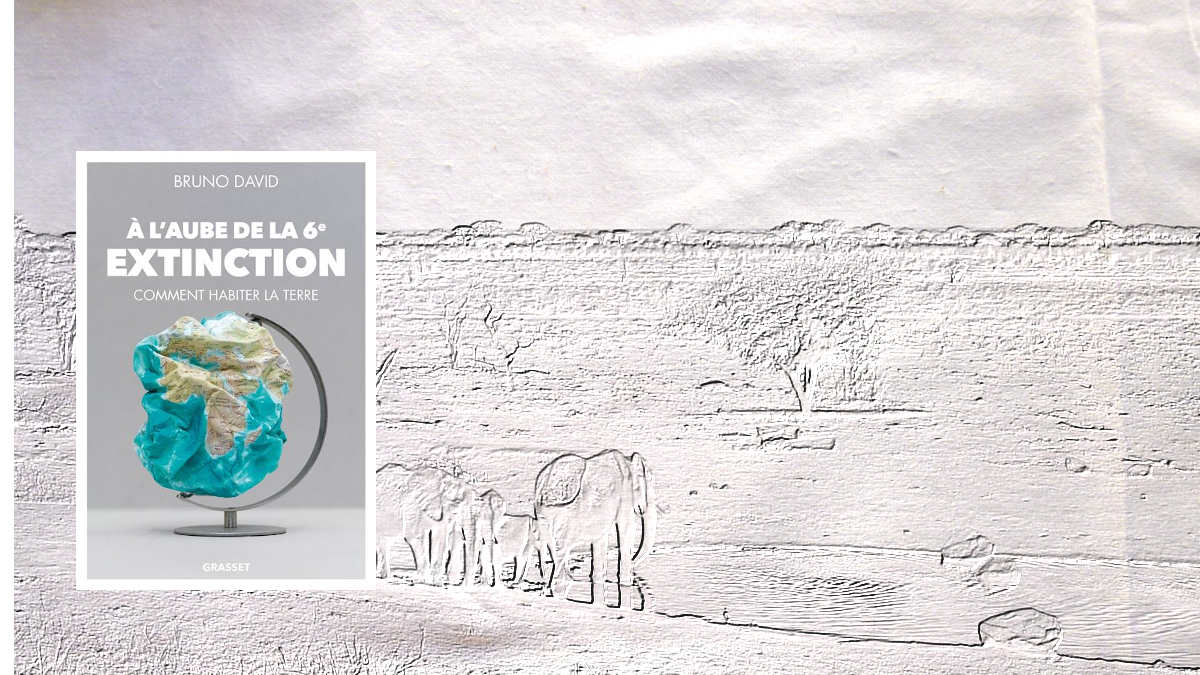 À l'aube de la sixième extinction  Bruno David