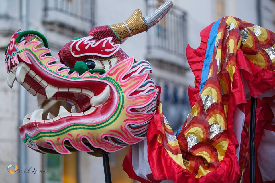 Dragons de chez nous