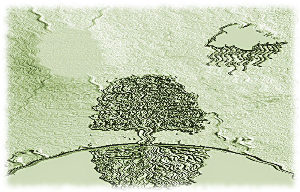 Le bruit du Silence