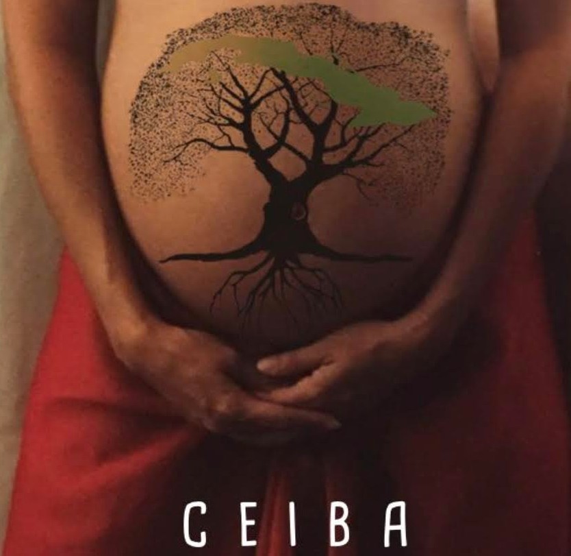 Attys Luna Vega Valdes « Ceiba, mémoires d'une famille cubaine »