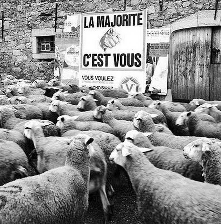 Au joli pays des Oui Oui