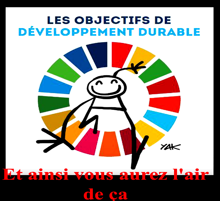 Le Développement dur du râble !