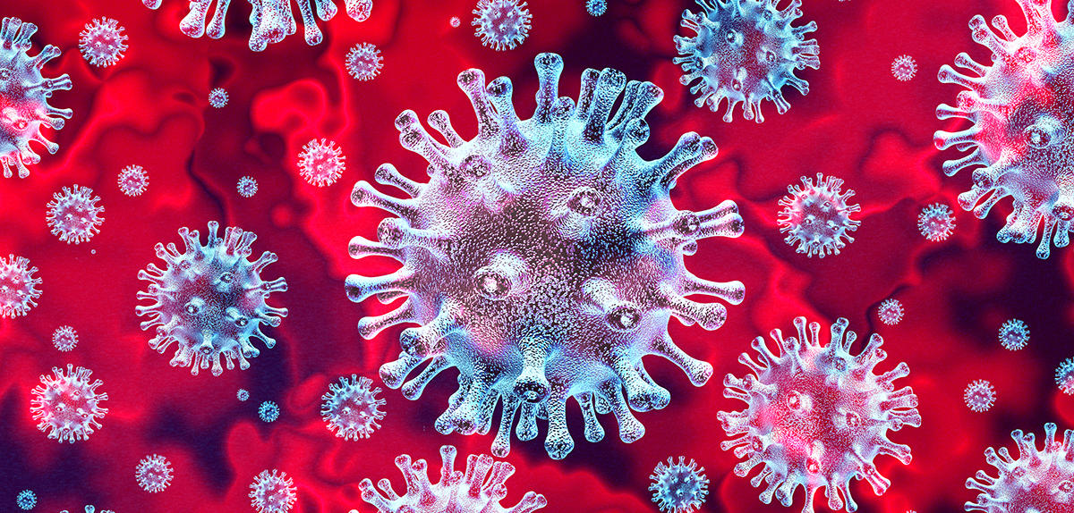 Théorie alternative : un virus et deux « épidémies » - La circulation du SARS-CoV-2 produira une immunité collective